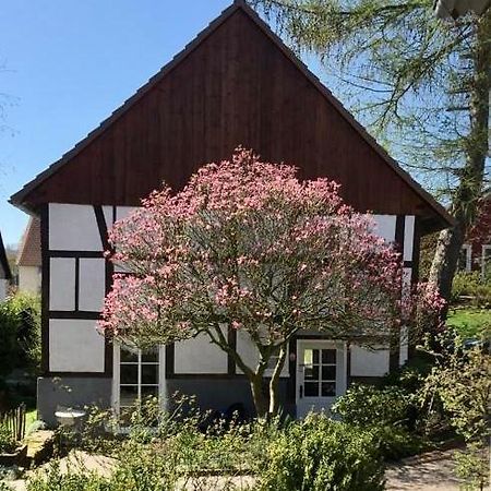 Gemuetliches Ferienhaus Im Extertal/ Lippe エクステリア 写真