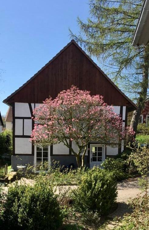 Gemuetliches Ferienhaus Im Extertal/ Lippe エクステリア 写真