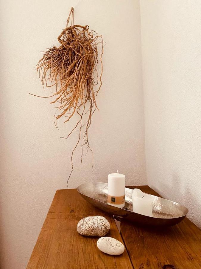 Gemuetliches Ferienhaus Im Extertal/ Lippe エクステリア 写真