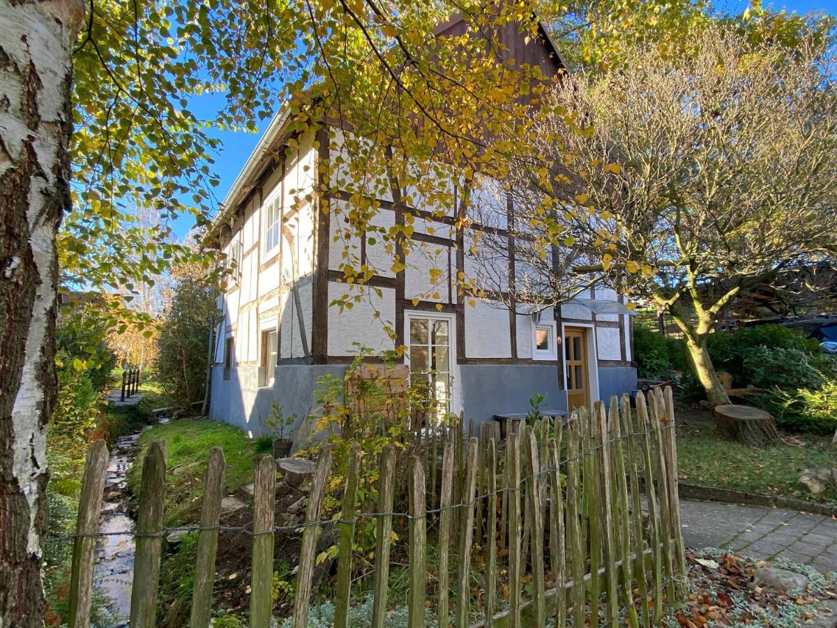 Gemuetliches Ferienhaus Im Extertal/ Lippe エクステリア 写真