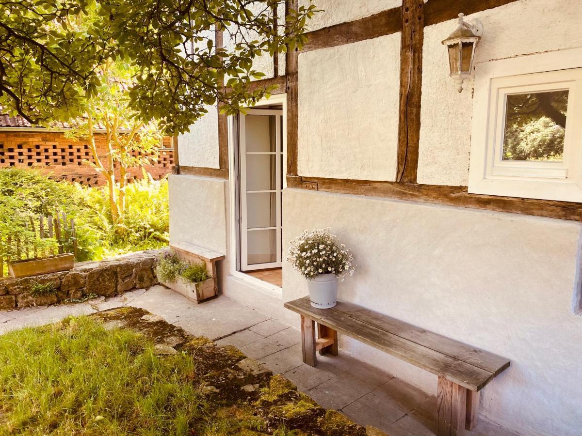 Gemuetliches Ferienhaus Im Extertal/ Lippe エクステリア 写真